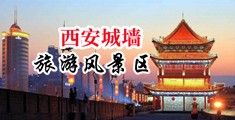 日本后入式动态图中国陕西-西安城墙旅游风景区